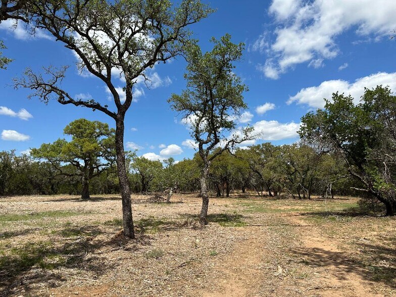 More Photos Of 23 Co 529 rd, Mullin Land For Sale