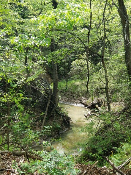 More Photos Of , Bells Land For Sale