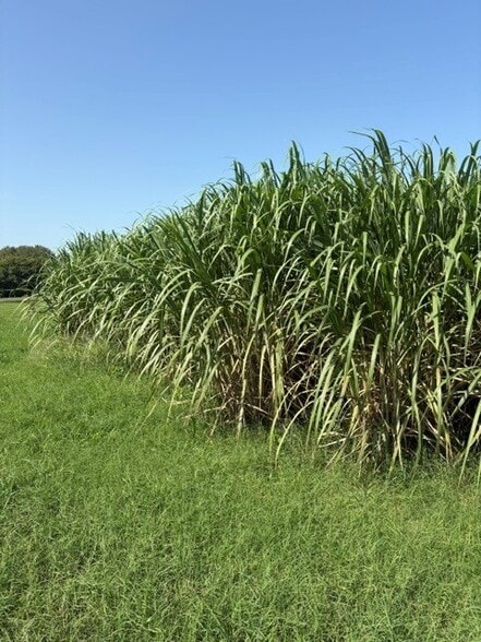 More Photos Of TBD State Road 715, Belle Glade Land For Sale