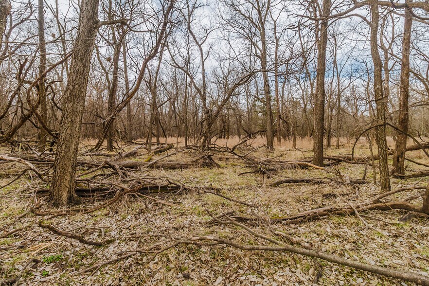 More Photos Of 79+/- Acres on 272nd Rd. Rd @ 41st Rd, Arkansas City Land For Sale