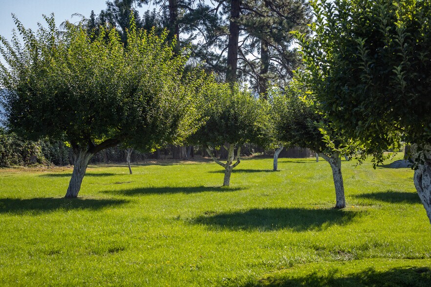 More Photos Of 41406 Lonquist Ln, Hat Creek Land For Sale