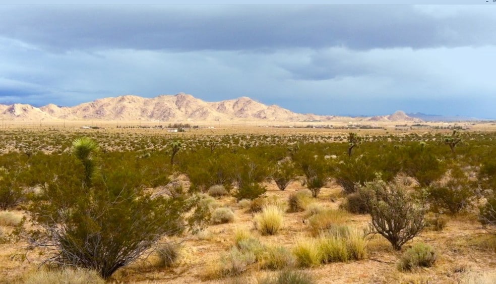 Primary Photo Of Joshua Rd, Lucerne Valley Land For Sale