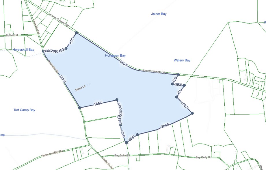 More Photos Of 0000 Joyner Swamp Rd, Galivants Ferry Land For Sale