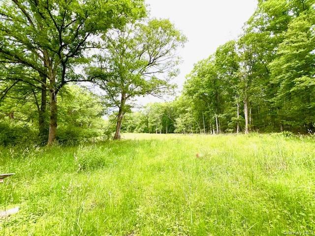 Primary Photo Of 7584 NY-97, Narrowsburg Land For Sale