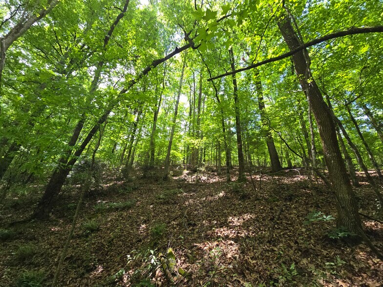 More Photos Of Davis Lake Rd @ Old Talbotton Rd, Thomaston Land For Sale
