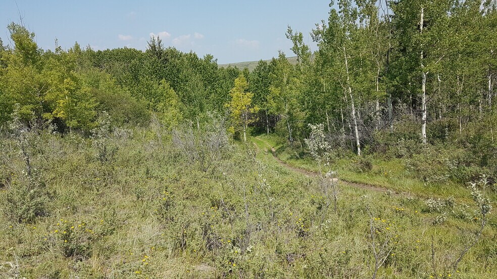 More Photos Of 1 Bow River, Rocky View No 44 Land For Sale