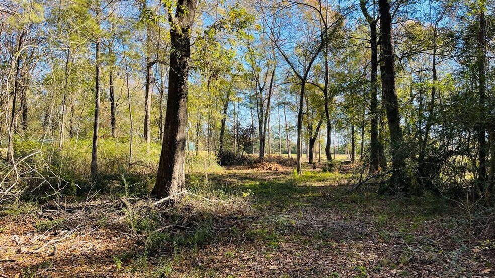 More Photos Of 4106 Hwy 69 S Hwy, Lumberton Land For Sale