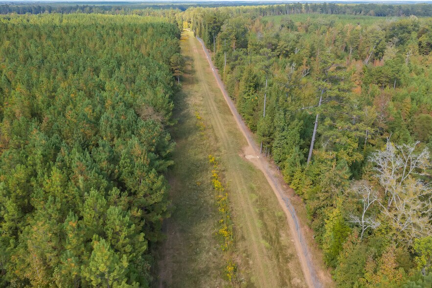 More Photos Of 18618 Hwy 43, Linden Land For Sale