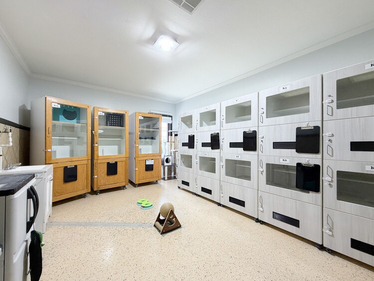 More Photos Of 45 E Airline Hwy, Kenner Veterinarian Kennel For Lease