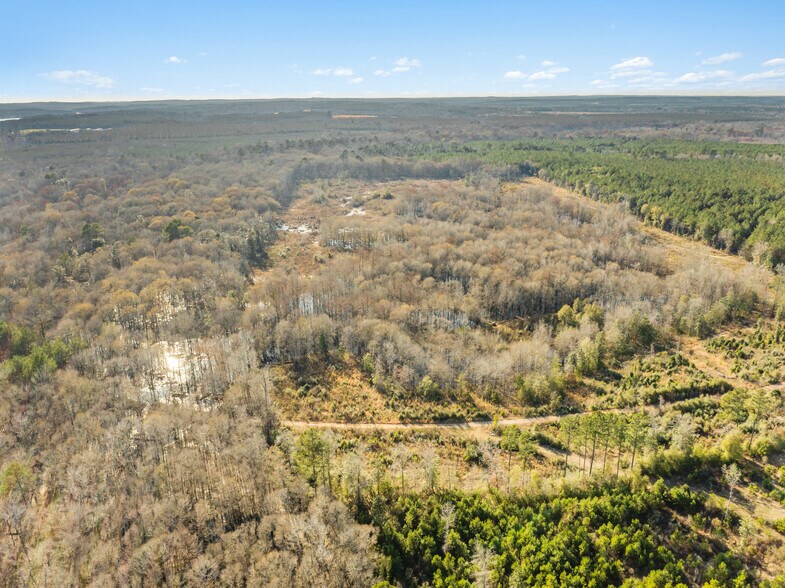 More Photos Of 7471 Hwy 155, Saline Land For Sale