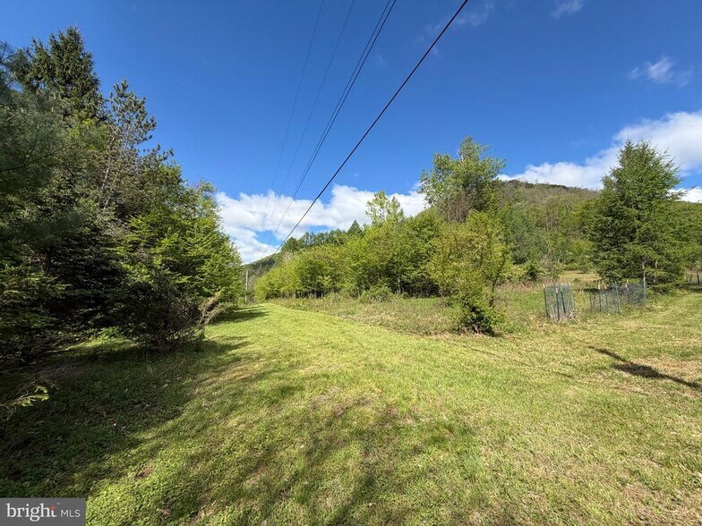 More Photos Of 1226-1227 Cross Fork Creek Rd, Cross Fork Land For Sale