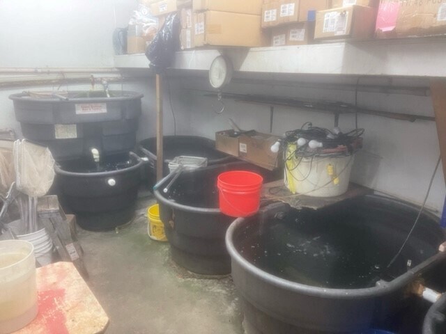 More Photos Of 97 Sandy Bottom Rd, Coventry Storefront For Sale