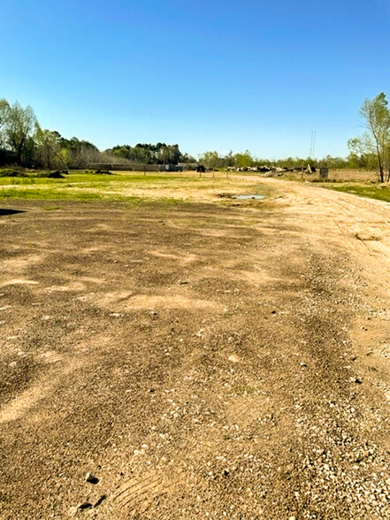 Primary Photo Of 0 Sleepy Hollow Rd, Conroe Land For Sale