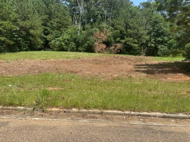 Primary Photo Of Parklane Rd, Mccomb Land For Sale
