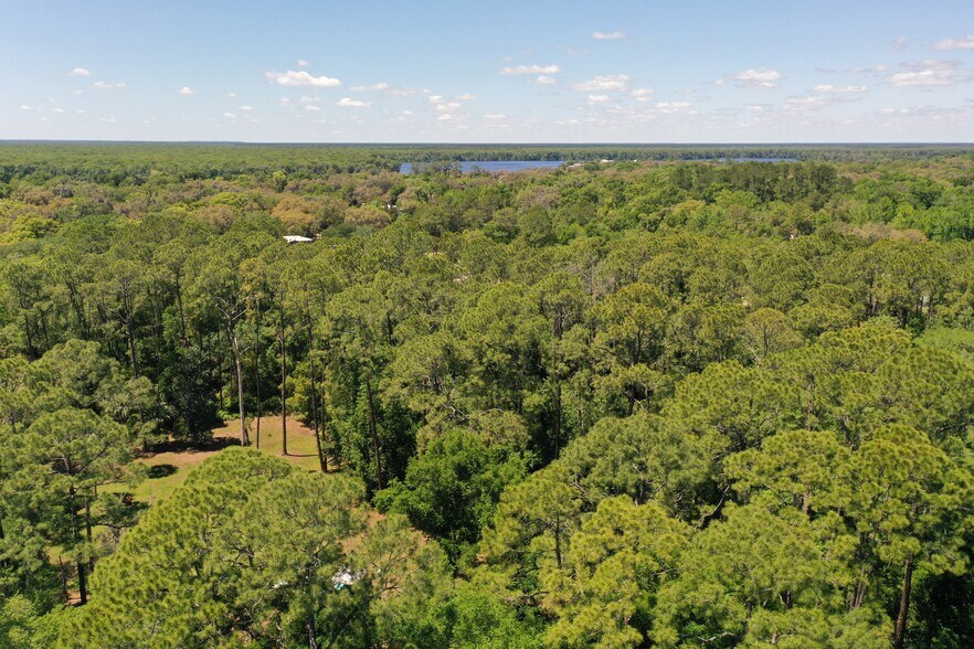 More Photos Of 638 Walnut St, Welaka Land For Sale