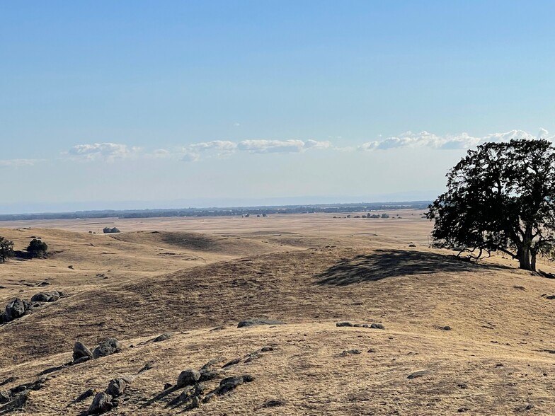 Primary Photo Of Hwy 41, O Neals Land For Sale