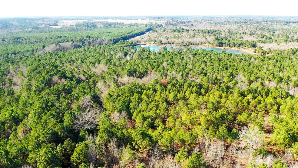 More Photos Of HWY 49 hwy, Jefferson Land For Sale