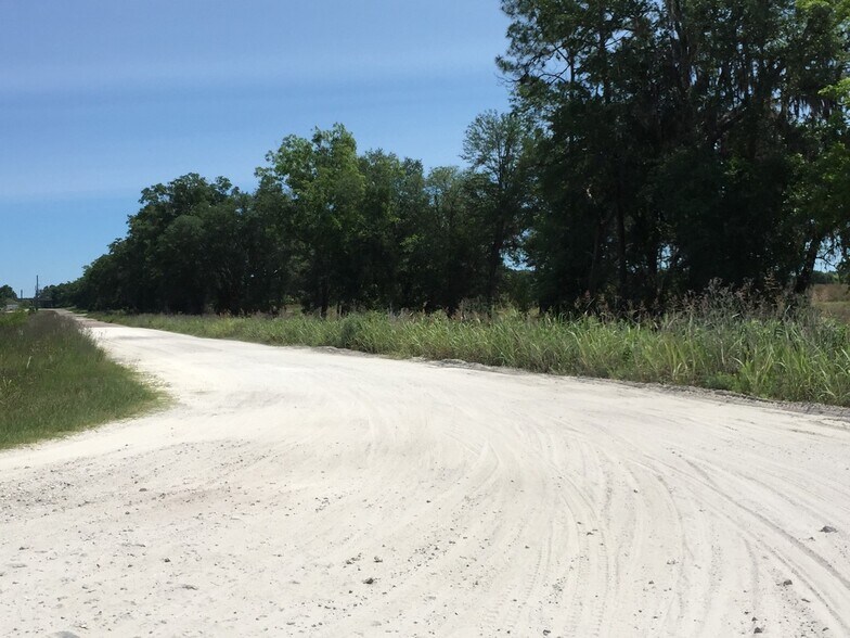 More Photos Of US Hwy 129, Live Oak Land For Sale
