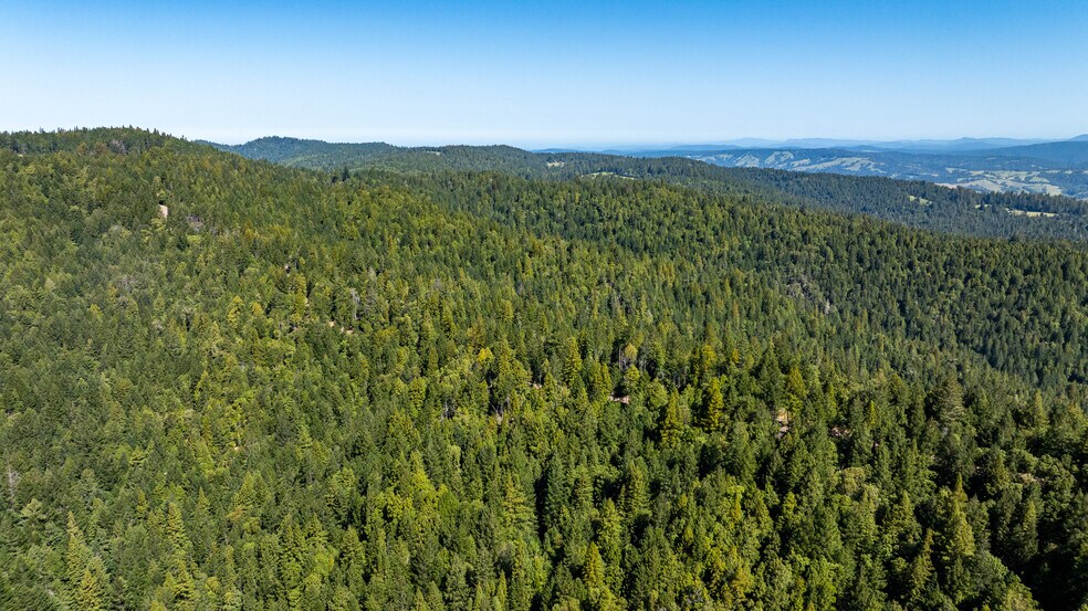 More Photos Of 8555 Signal Ridge Road, Philo Land For Sale