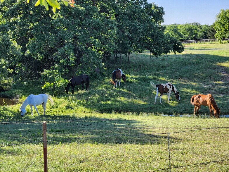 More Photos Of 2212 Spring Hill Rd, Aubrey Land For Sale