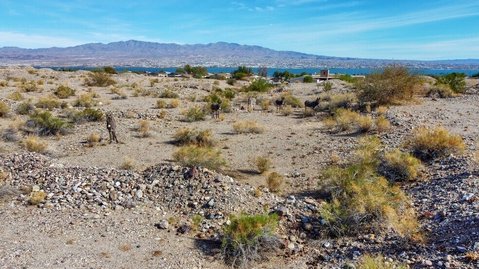 More Photos Of 12600 Havasu Lake Rd, Needles Land For Sale