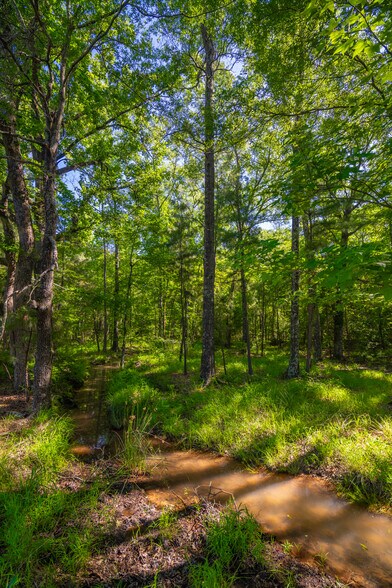 More Photos Of County Road 2592, Marietta Land For Sale