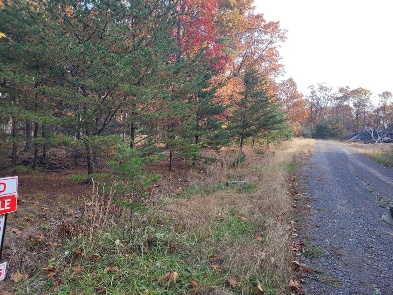 More Photos Of Lot 26 Cabin Run -1, Bloomery Land For Sale