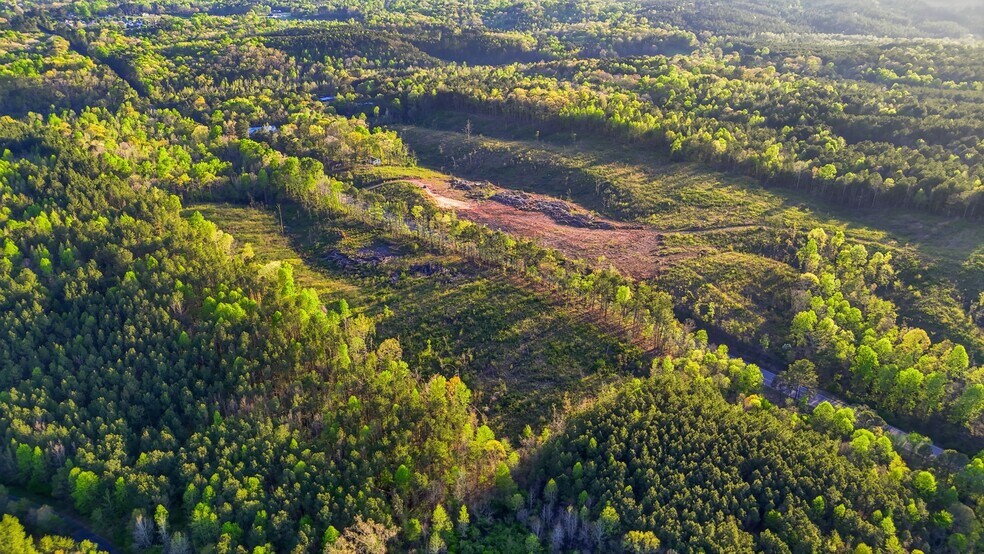 More Photos Of 0 Highway 269, Parrish Land For Sale