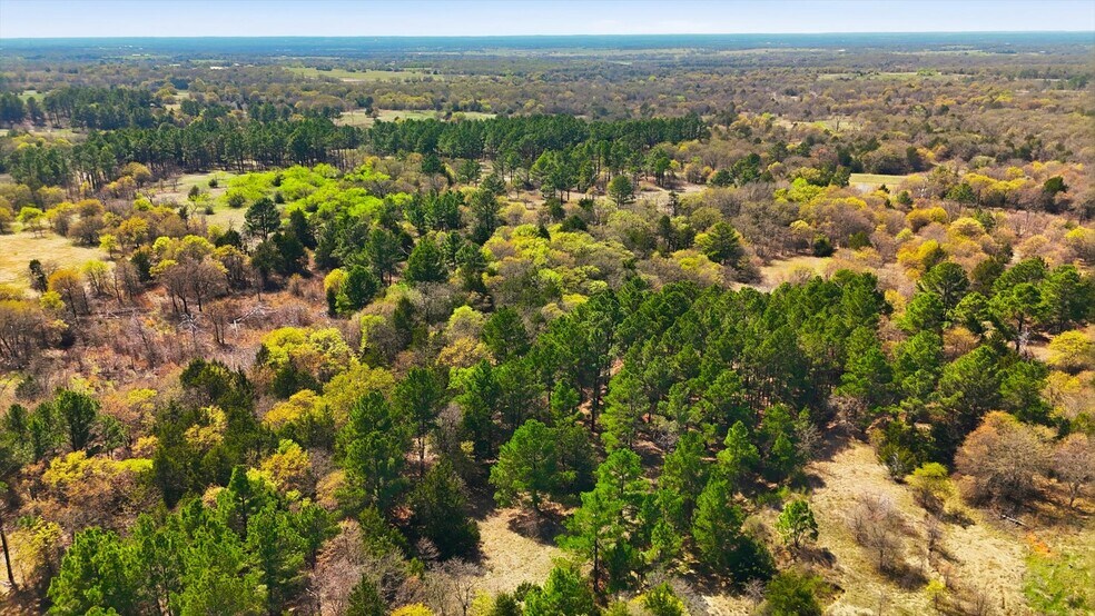 More Photos Of 2548 County Road 2690, Alvord Land For Sale