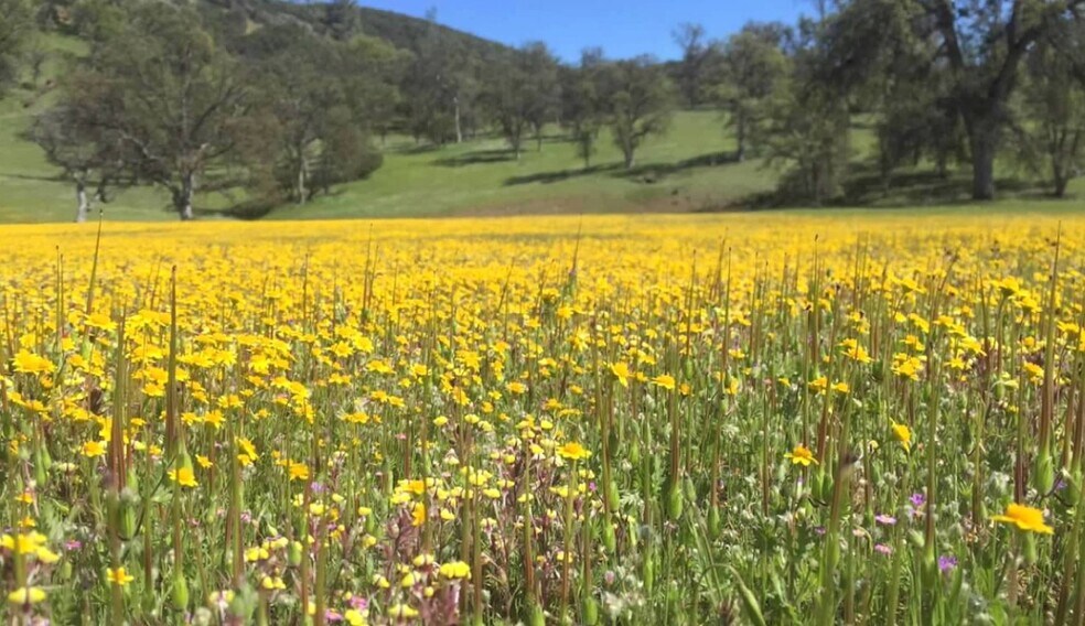 More Photos Of Campground Rd, Stonyford Land For Lease