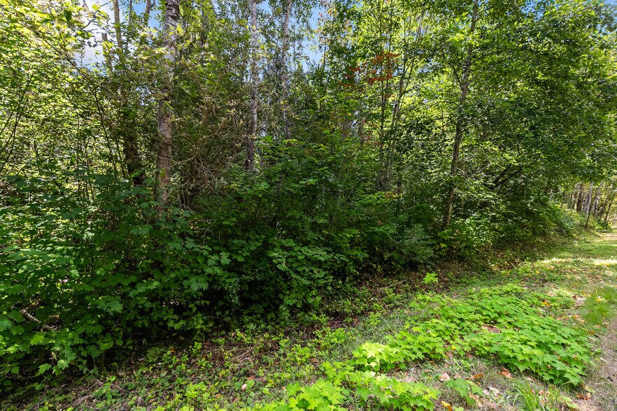 More Photos Of 115-155 Tremont Ave, Bellingham Land For Sale