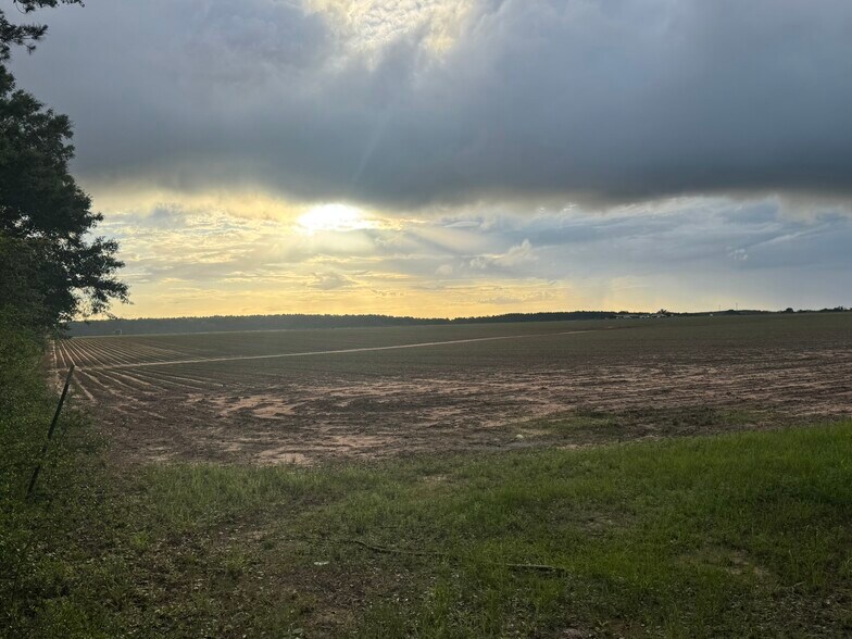 More Photos Of 0 Old Stage rd, Repton Land For Sale