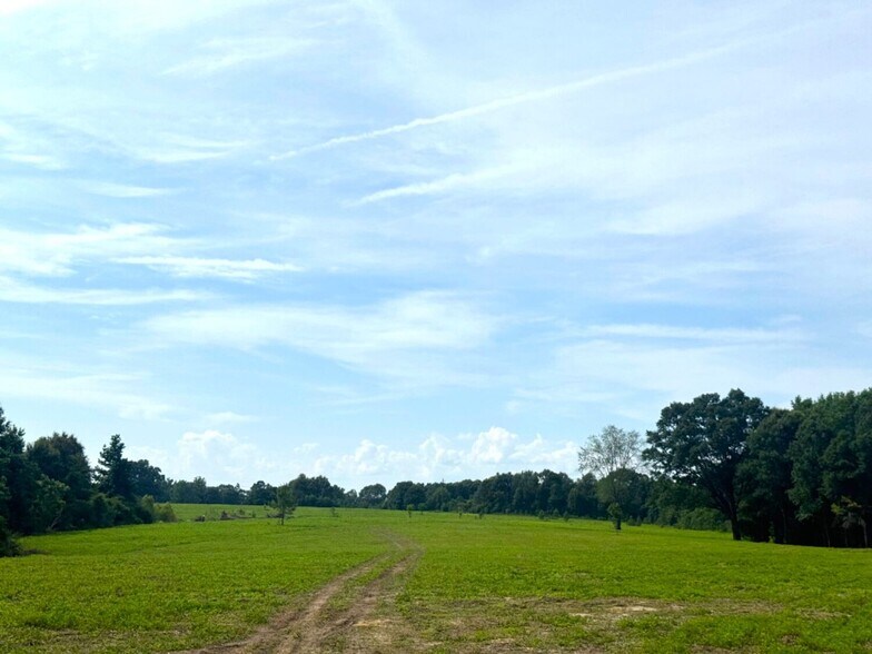 More Photos Of Lester Seals Rd, Lumberton Land For Sale