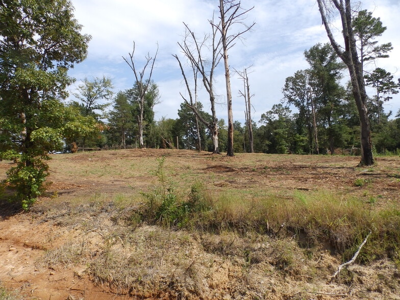 More Photos Of 16393 Highway 31, Tyler Land For Sale