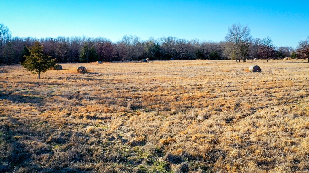 More Photos Of 1200 County 1255 rd, Detroit Land For Sale