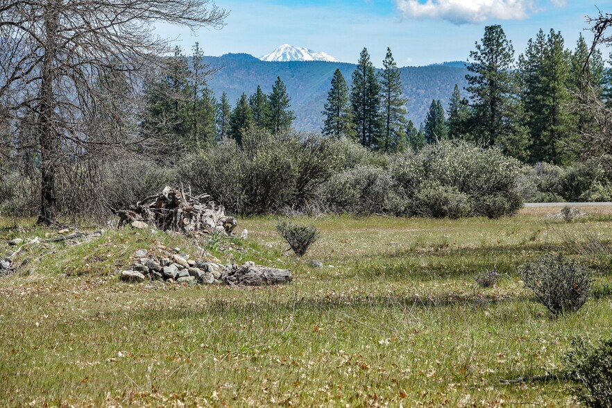 More Photos Of 2003 Kidder Creek Rd, Greenview Land For Sale