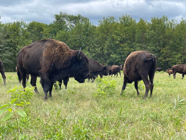 More Photos Of 6040 AL-28, Pine Apple Specialty For Sale