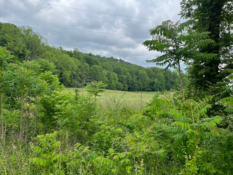 More Photos Of 6387 Airport Rd, Andrews Land For Sale