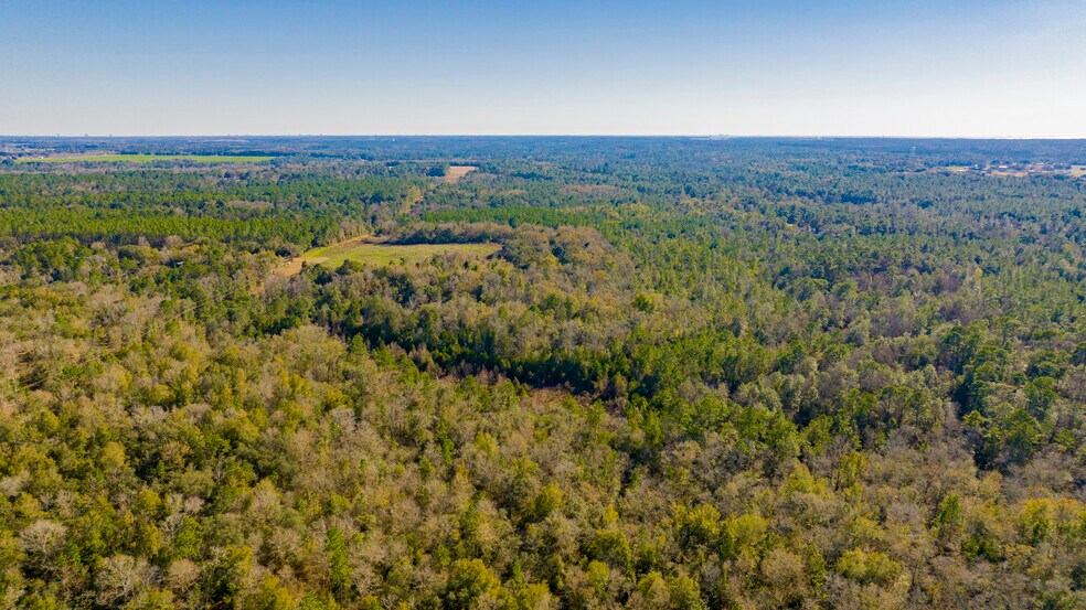 More Photos Of 12960 County Road 48, Silverhill Land For Sale