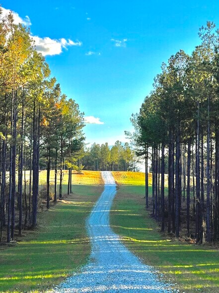 More Photos Of 92 Lillian Strong rd, Carlton Land For Sale