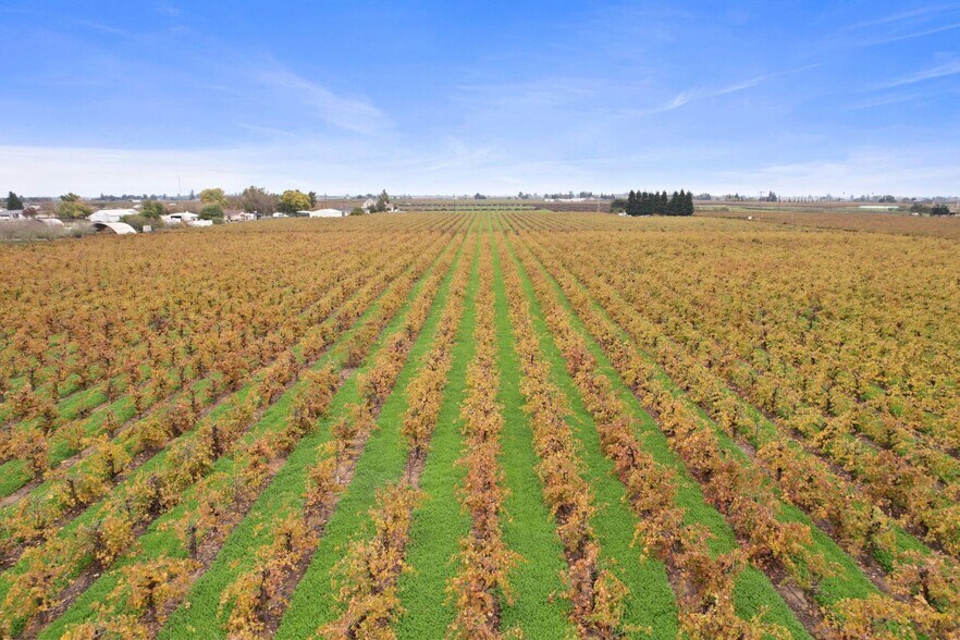 More Photos Of 14235 N Vintage Rd, Lodi Land For Sale