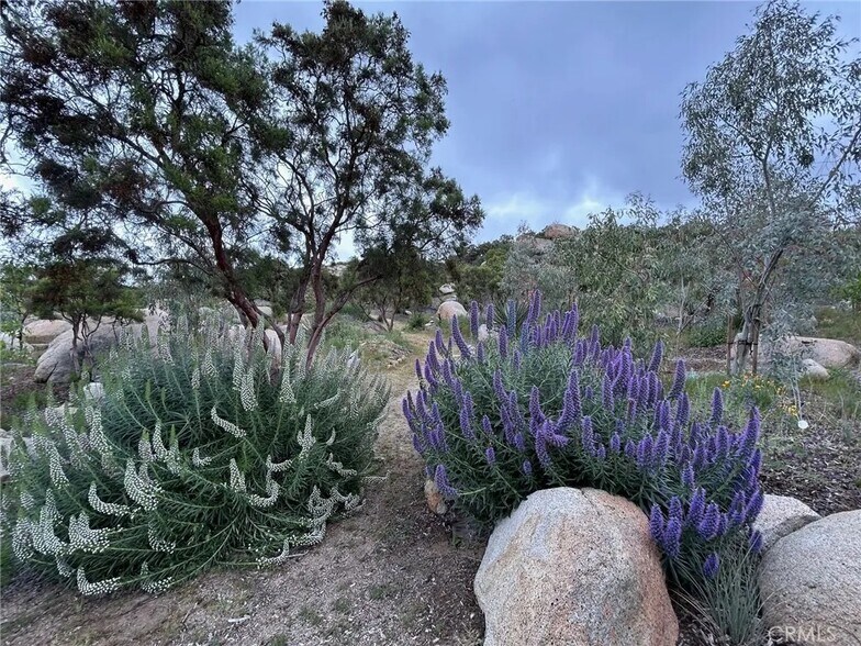 More Photos Of CA-371, Aguanga Land For Lease