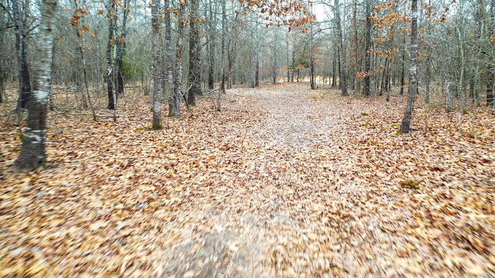 More Photos Of 1200 County 1255 rd, Detroit Land For Sale