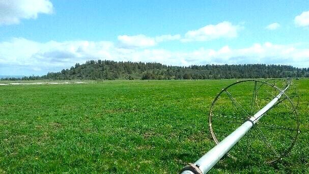 More Photos Of 295 Co Rd 149, Lookout Land For Sale