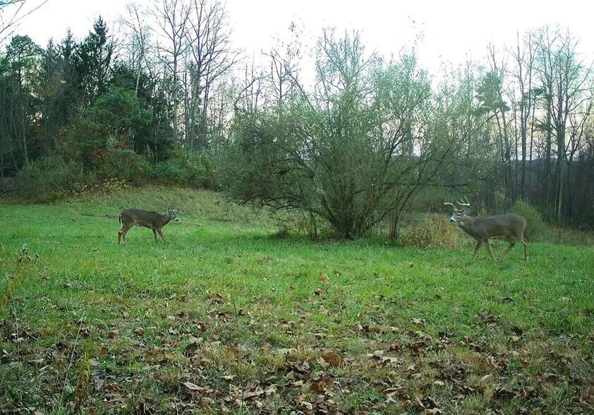 More Photos Of 0 Lower Mudlic rd, Mayport Land For Sale