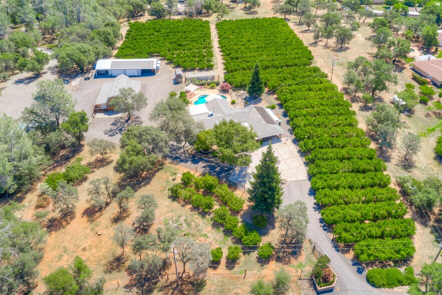 More Photos Of 78 Circle View Dr, Oroville Winery Vineyard For Sale