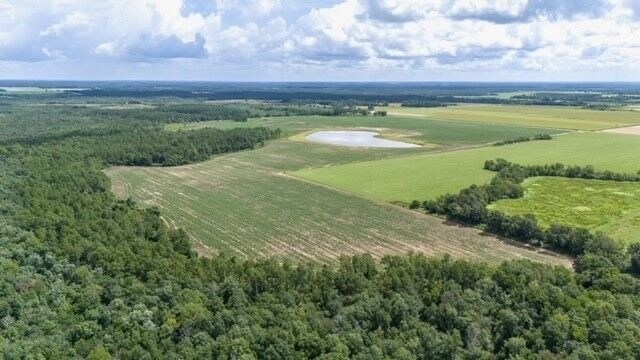 More Photos Of Co Rd 32, Foley Land For Sale