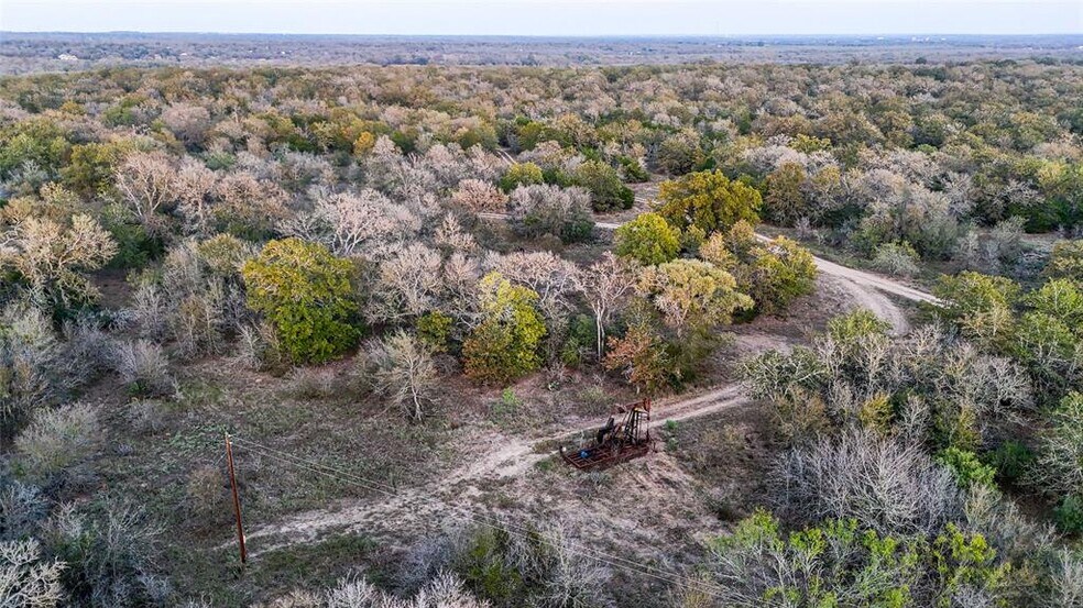 More Photos Of 137 Shady Oaks Loop, Cedar Creek Land For Sale