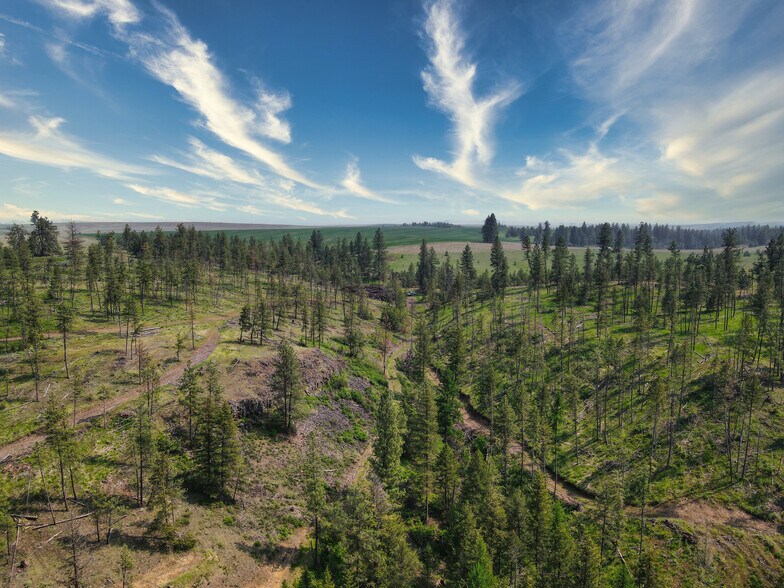 More Photos Of 45XXX Devore Rd, Davenport Land For Sale