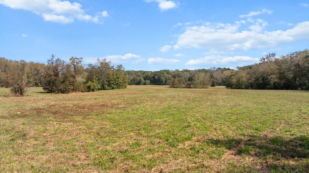 More Photos Of TBD Farm to Market Road 16, Winona Land For Sale